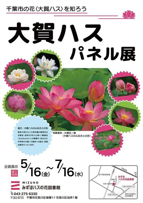 mizuho-oogahasu.jpg
