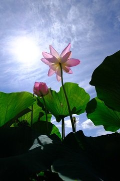 DSCF0114-1.jpg