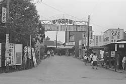 （昭和４０年）大網街道から見た松ヶ丘中央通り