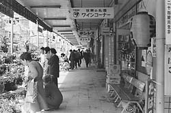 （昭和５１年）銀座通り商店街
