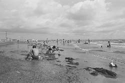 （昭和５１年）いなげの浜